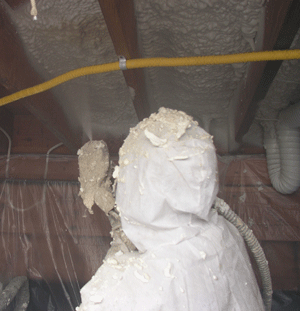 Niagra Falls ON crawl space insulation