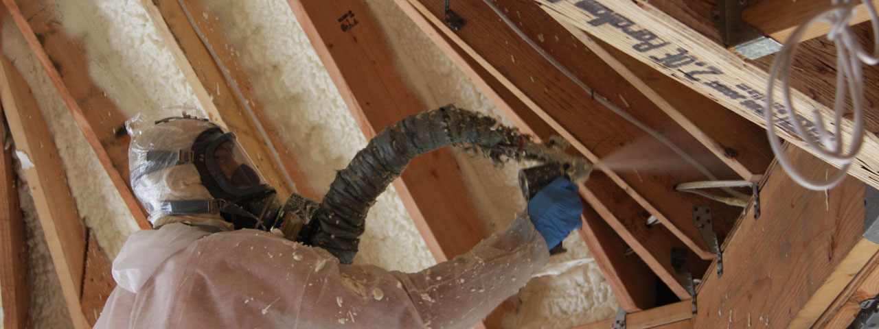 Niagra Falls Ontario Attic Insulation Spray Foam